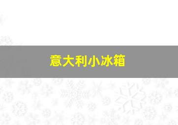 意大利小冰箱