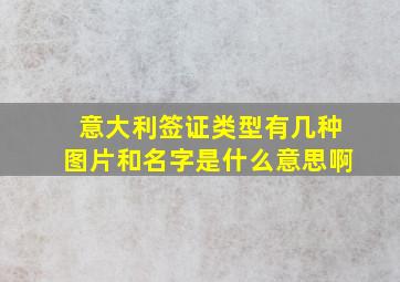 意大利签证类型有几种图片和名字是什么意思啊