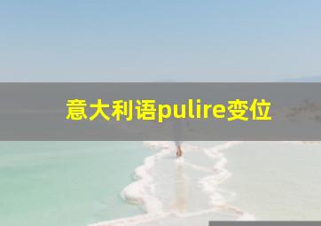 意大利语pulire变位