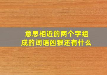 意思相近的两个字组成的词语凶狠还有什么