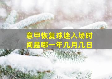 意甲恢复球迷入场时间是哪一年几月几日