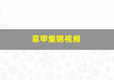 意甲集锦视频