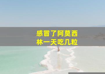 感冒了阿莫西林一天吃几粒