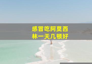 感冒吃阿莫西林一天几顿好