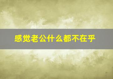 感觉老公什么都不在乎