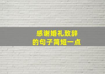 感谢婚礼致辞的句子简短一点