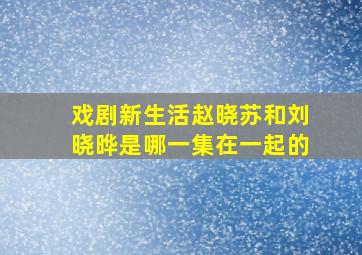 戏剧新生活赵晓苏和刘晓晔是哪一集在一起的