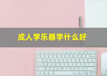 成人学乐器学什么好