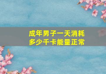 成年男子一天消耗多少千卡能量正常