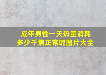 成年男性一天热量消耗多少千焦正常呢图片大全