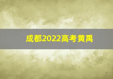 成都2022高考黄禹