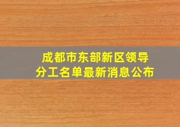 成都市东部新区领导分工名单最新消息公布