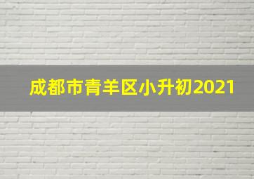 成都市青羊区小升初2021