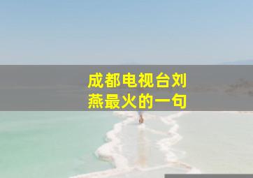 成都电视台刘燕最火的一句