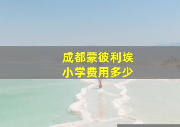 成都蒙彼利埃小学费用多少