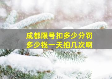 成都限号扣多少分罚多少钱一天拍几次啊