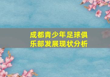 成都青少年足球俱乐部发展现状分析