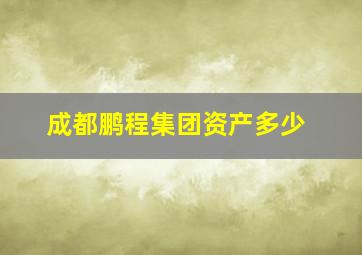 成都鹏程集团资产多少