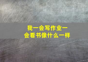 我一会写作业一会看书像什么一样