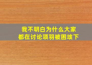 我不明白为什么大家都在讨论项羽被困垓下