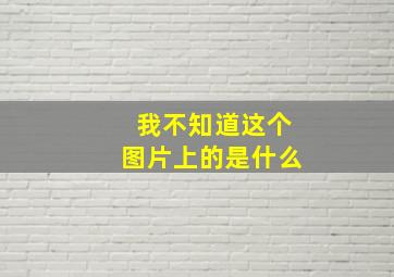 我不知道这个图片上的是什么