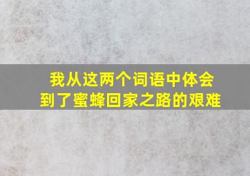 我从这两个词语中体会到了蜜蜂回家之路的艰难