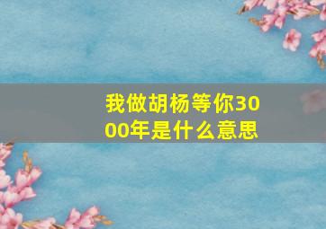 我做胡杨等你3000年是什么意思