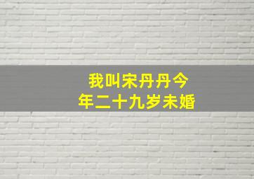 我叫宋丹丹今年二十九岁未婚