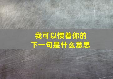 我可以惯着你的下一句是什么意思