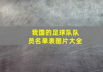 我国的足球队队员名单表图片大全