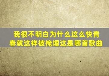 我很不明白为什么这么快青春就这样被掩埋这是哪首歌曲