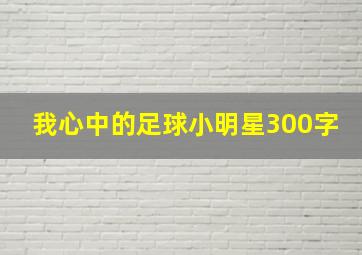 我心中的足球小明星300字