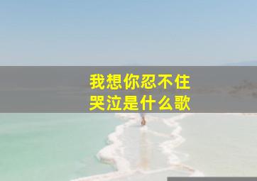 我想你忍不住哭泣是什么歌