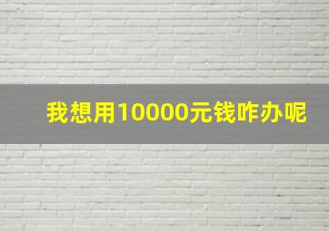 我想用10000元钱咋办呢