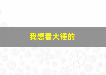 我想看大锤的