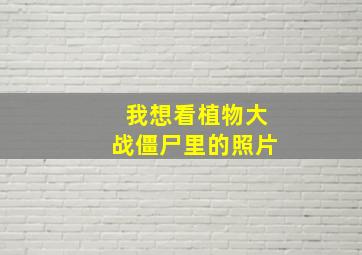 我想看植物大战僵尸里的照片