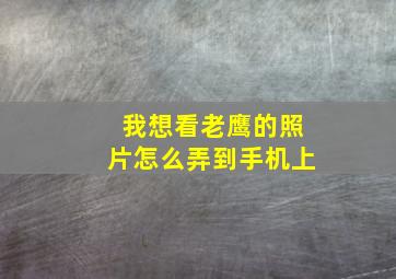 我想看老鹰的照片怎么弄到手机上