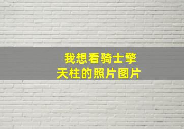 我想看骑士擎天柱的照片图片