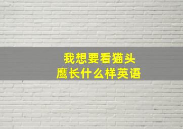 我想要看猫头鹰长什么样英语