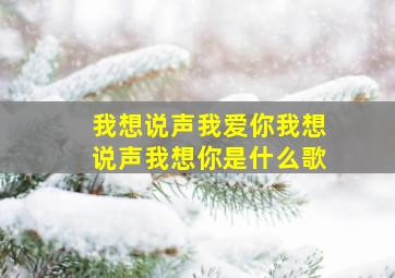 我想说声我爱你我想说声我想你是什么歌