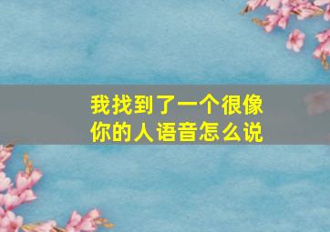 我找到了一个很像你的人语音怎么说