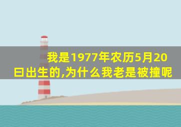 我是1977年农历5月20曰出生的,为什么我老是被撞呢