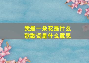 我是一朵花是什么歌歌词是什么意思