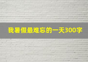 我暑假最难忘的一天300字