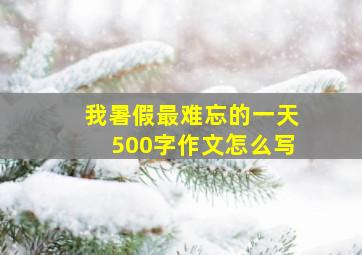 我暑假最难忘的一天500字作文怎么写