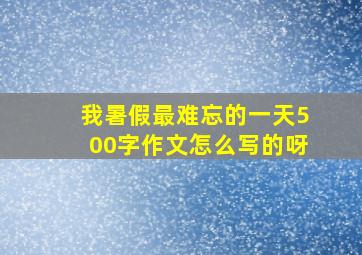 我暑假最难忘的一天500字作文怎么写的呀