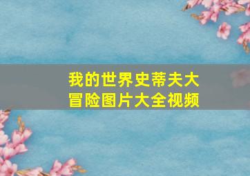 我的世界史蒂夫大冒险图片大全视频