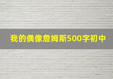 我的偶像詹姆斯500字初中