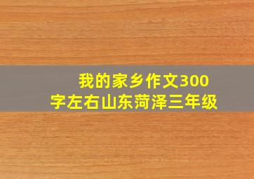 我的家乡作文300字左右山东菏泽三年级