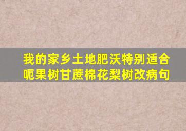 我的家乡土地肥沃特别适合呃果树甘蔗棉花梨树改病句